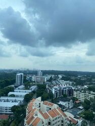 Residences @ Evelyn (D11), Condominium #558074351